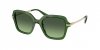 OKULARY SWAROVSKI SK 6040 10812A 50 ROZMIAR M